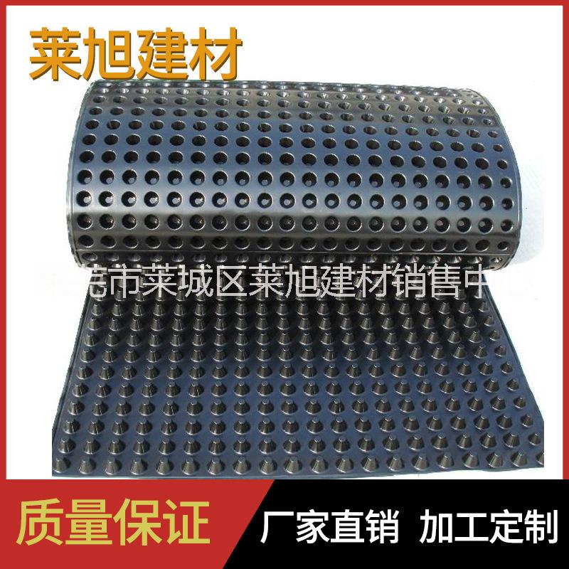 雙面蓄排水板hdpe蓄排水板屋頂蓄排水板 綠化蓄排水板 綠化蓄排水板廠家