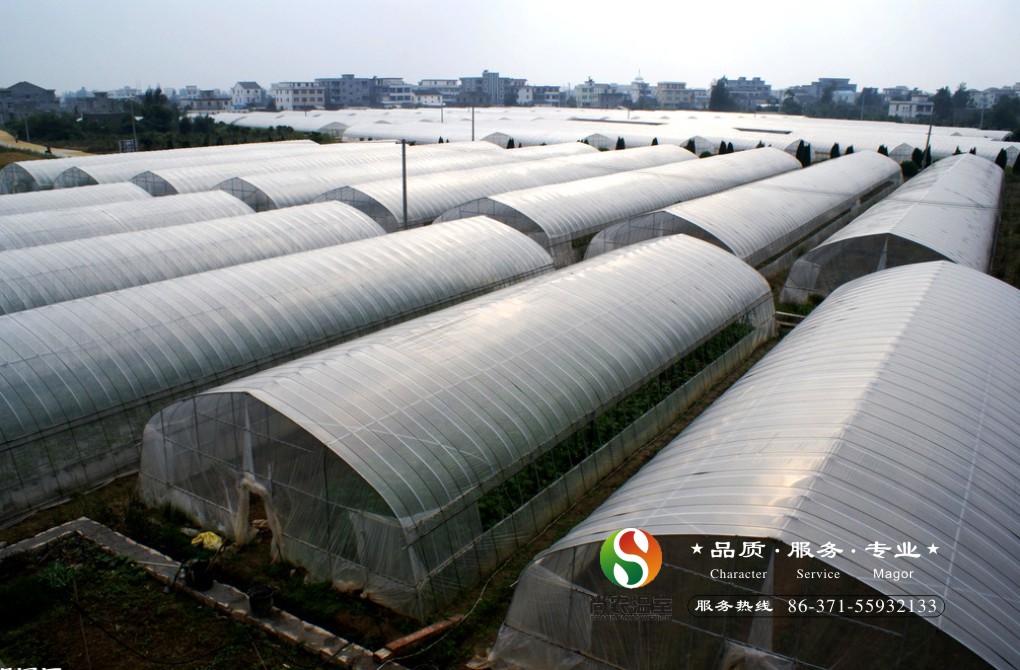 春秋大棚 河南蔬菜大棚  簡易大棚設計安裝銷售 鋼管大棚的價薄膜 春秋大棚（冷棚）