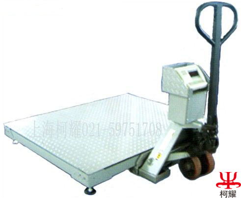 TCS-300kg計數(shù)電子臺秤 TCS計數(shù)電子臺秤