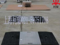 TCS-300kg計數(shù)電子臺秤 TCS計數(shù)電子臺秤
