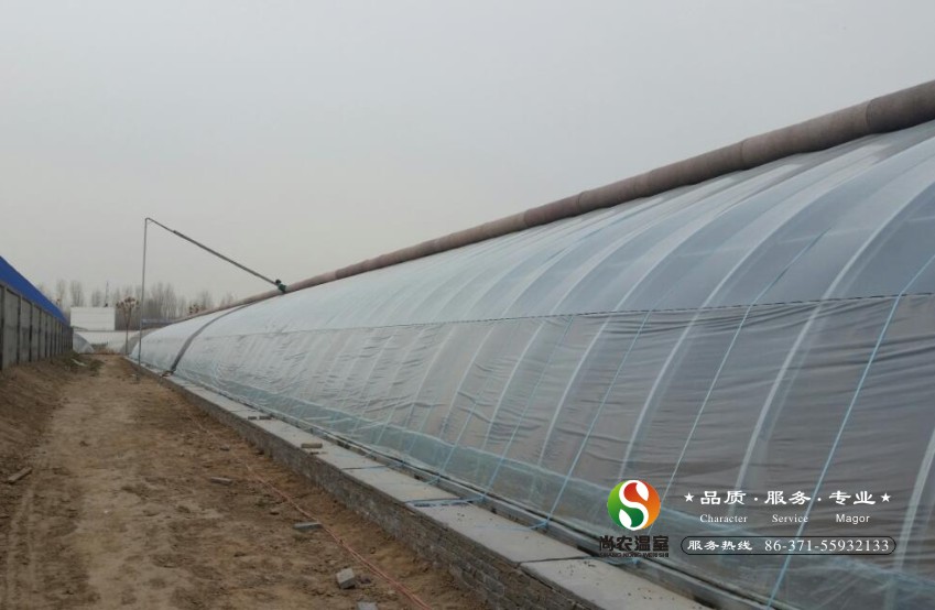 蔬菜種植大棚 河南鄭州蔬菜大棚骨架加工廠 溫室大棚設(shè)計安裝 鄭州大棚價格 蔬菜種植大棚價格