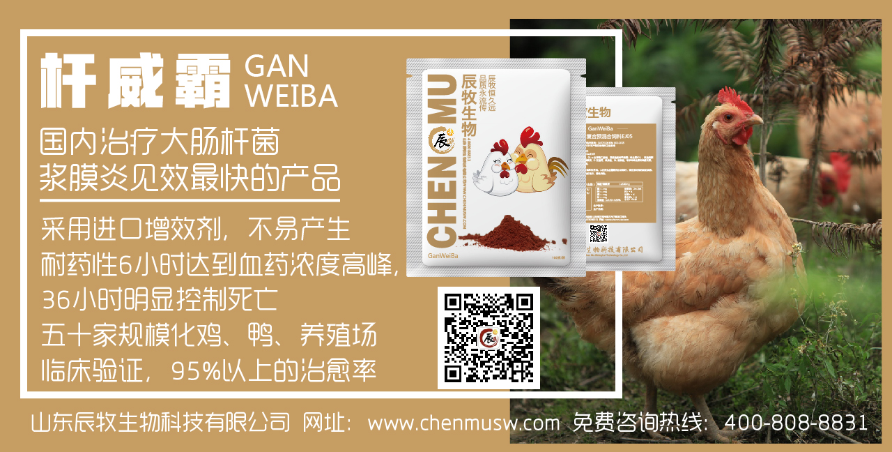 治liao鴨漿膜炎特xiao藥 鴨漿膜炎治liao方案 山東辰牧生物桿威霸