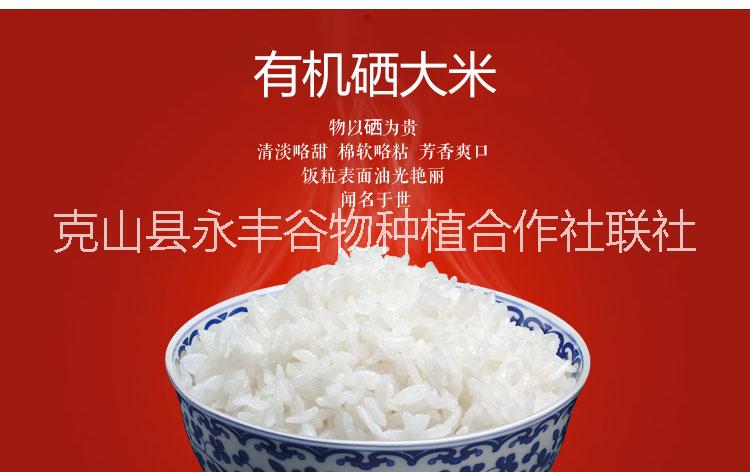 龍克富硒大米禮盒 龍克富硒大米禮盒裝