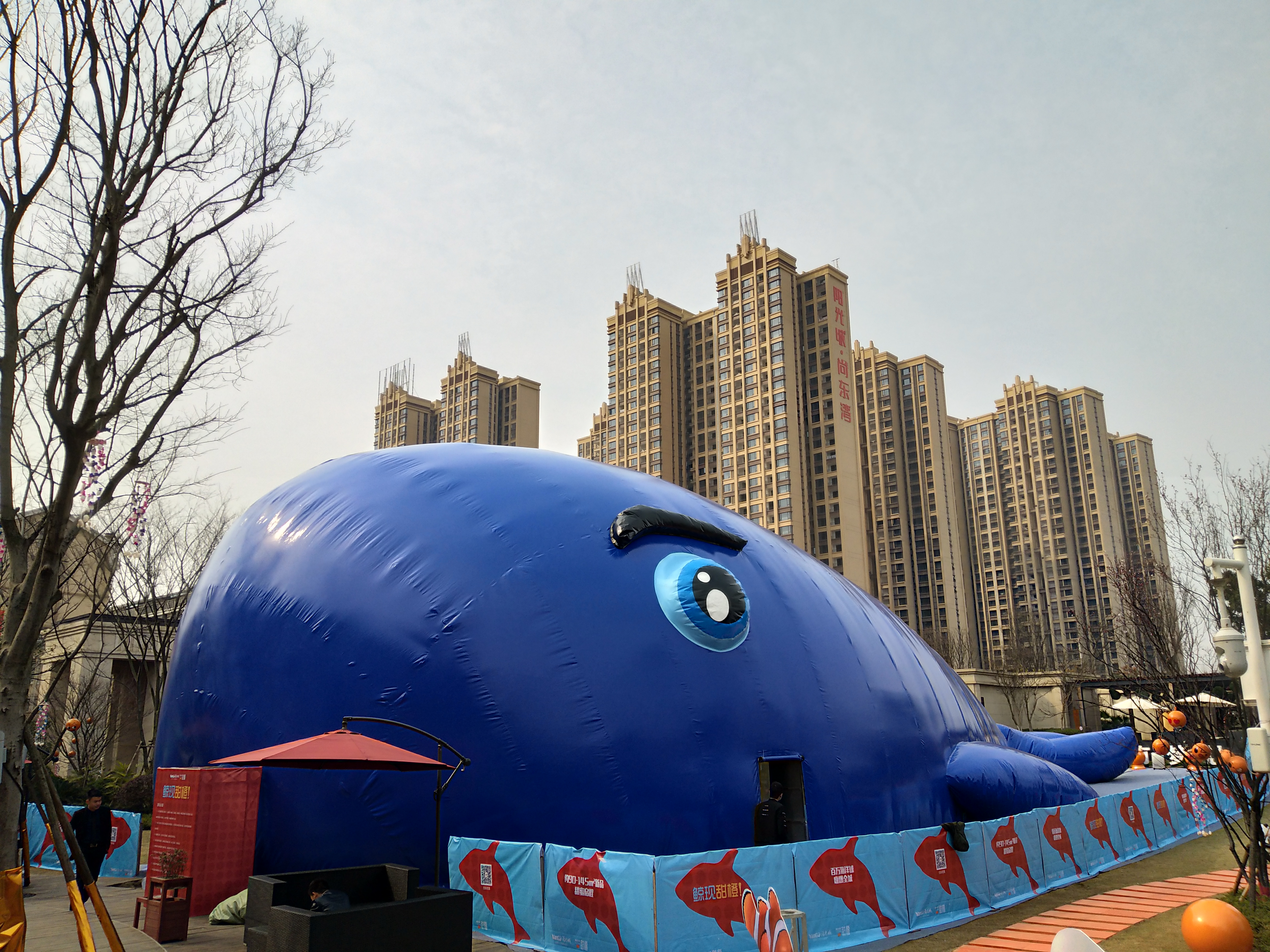 鯨魚島出租  鏡花宮出租