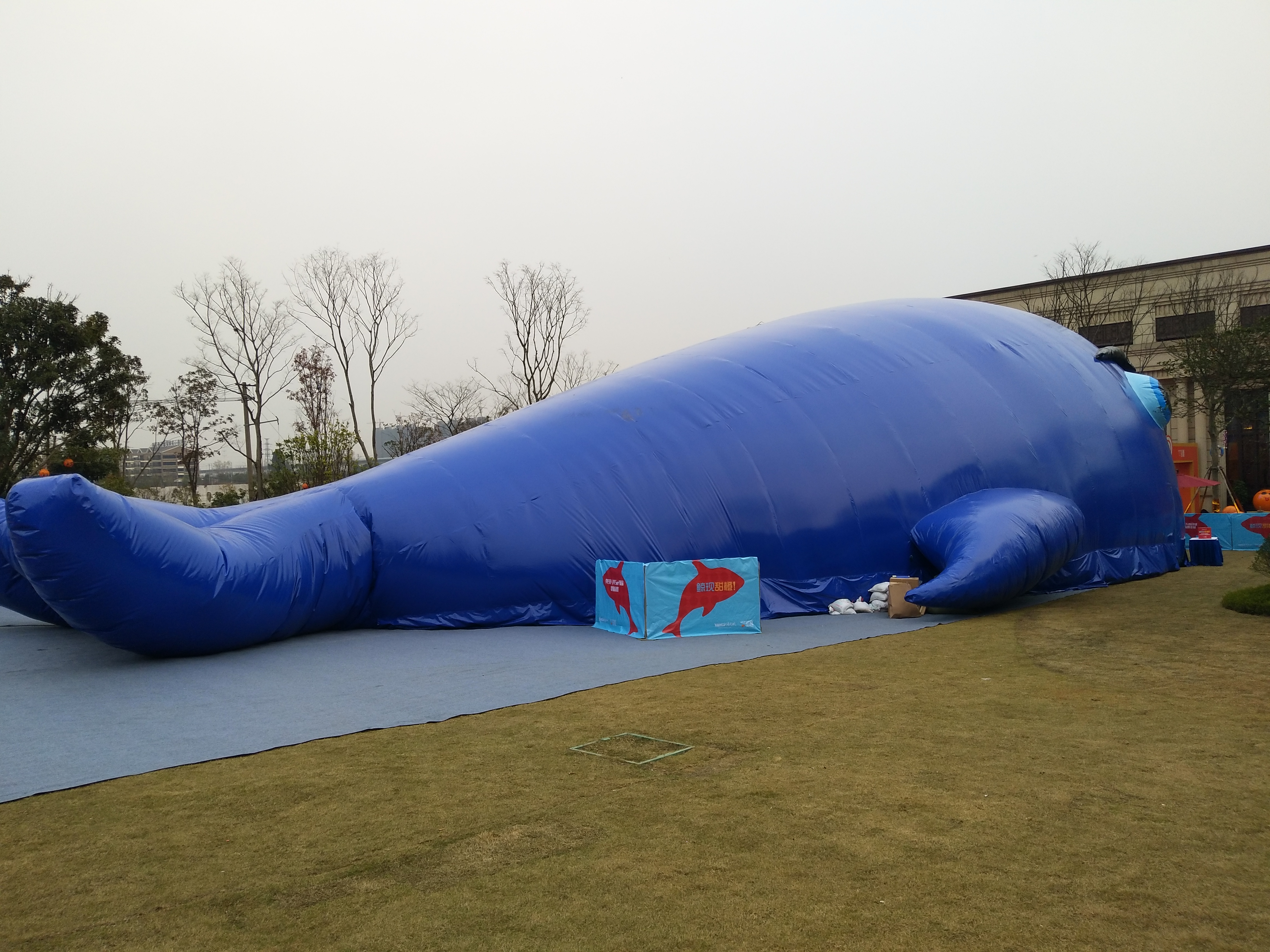鯨魚島 租賃 展覽展示*主題 鯨魚島是什么展覽展示*主題