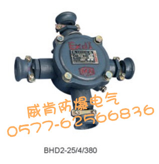 供應礦用隔爆型低壓電纜接線盒20/6 防爆電纜接線盒BHD2-20 防爆電纜接線盒BHD2-20/6