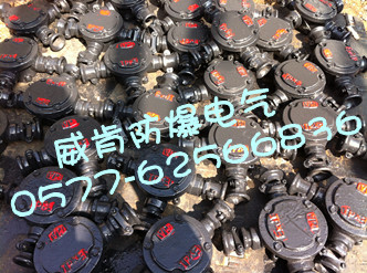 供應礦用隔爆型低壓電纜接線盒20/6 防爆電纜接線盒BHD2-20 防爆電纜接線盒BHD2-20/6