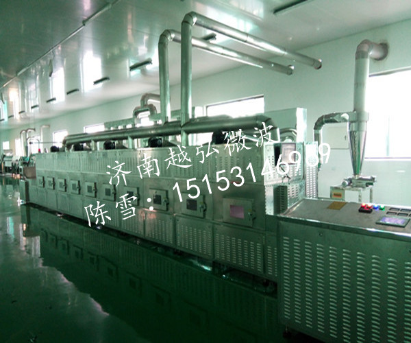 含運費的連續(xù)式微波農(nóng)副產(chǎn)品烘焙設(shè)備