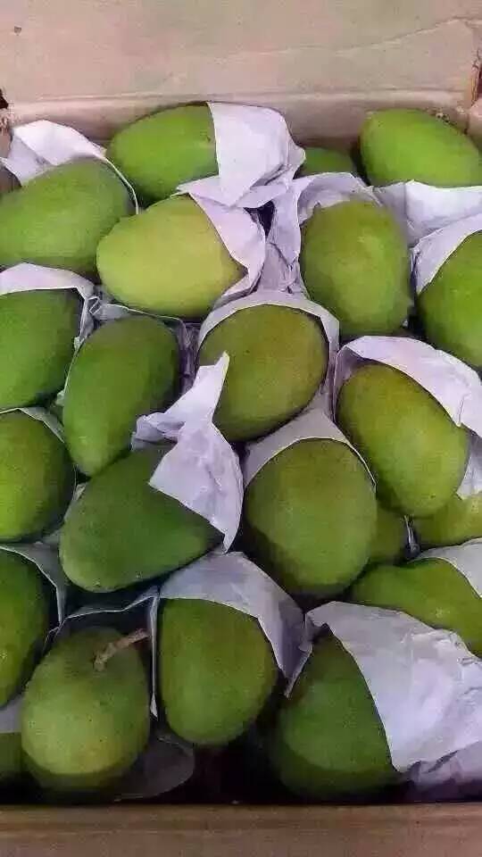 增城區(qū)食材配送公司、增城蔬菜配送，廣州規(guī)模*的蔬菜配送公司