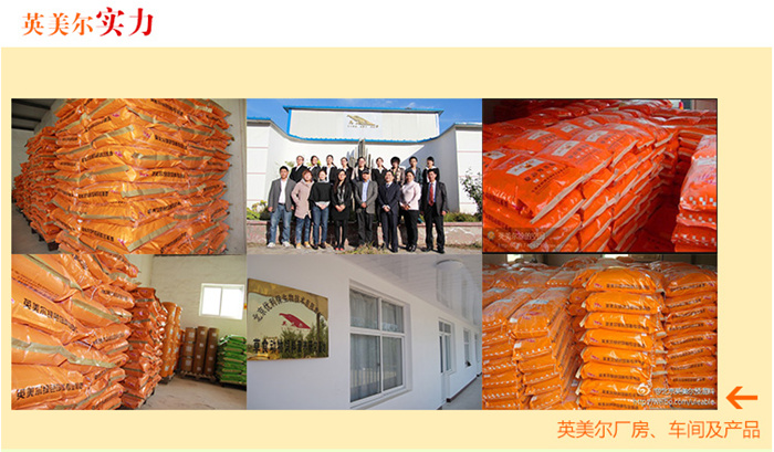 B2C肉牛復(fù)合預(yù)混料 /肉牛飼料/快速育肥