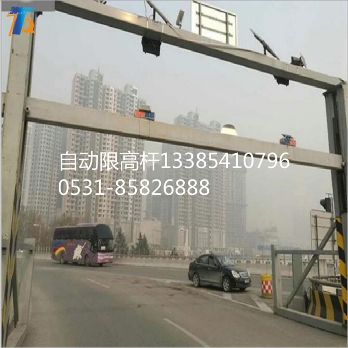 電動(dòng)升降限高架自動(dòng)升降龍門架 高架橋自動(dòng)升降限高架