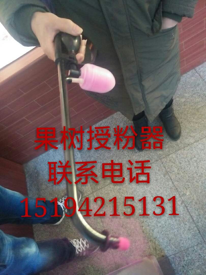 蘋果花粉，梨花粉，大棚櫻桃坐果劑