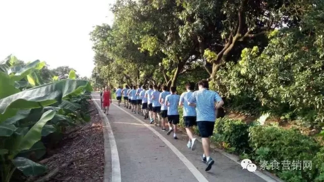 杭州素食培訓(xùn)_杭州素食培訓(xùn)機(jī)構(gòu)  素食廚師