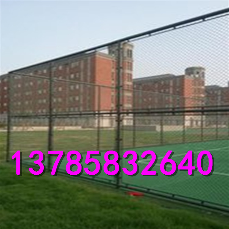 公園小區(qū)護(hù)欄網(wǎng)    學(xué)校操場(chǎng)護(hù)欄網(wǎng)      防腐耐用護(hù)欄網(wǎng)