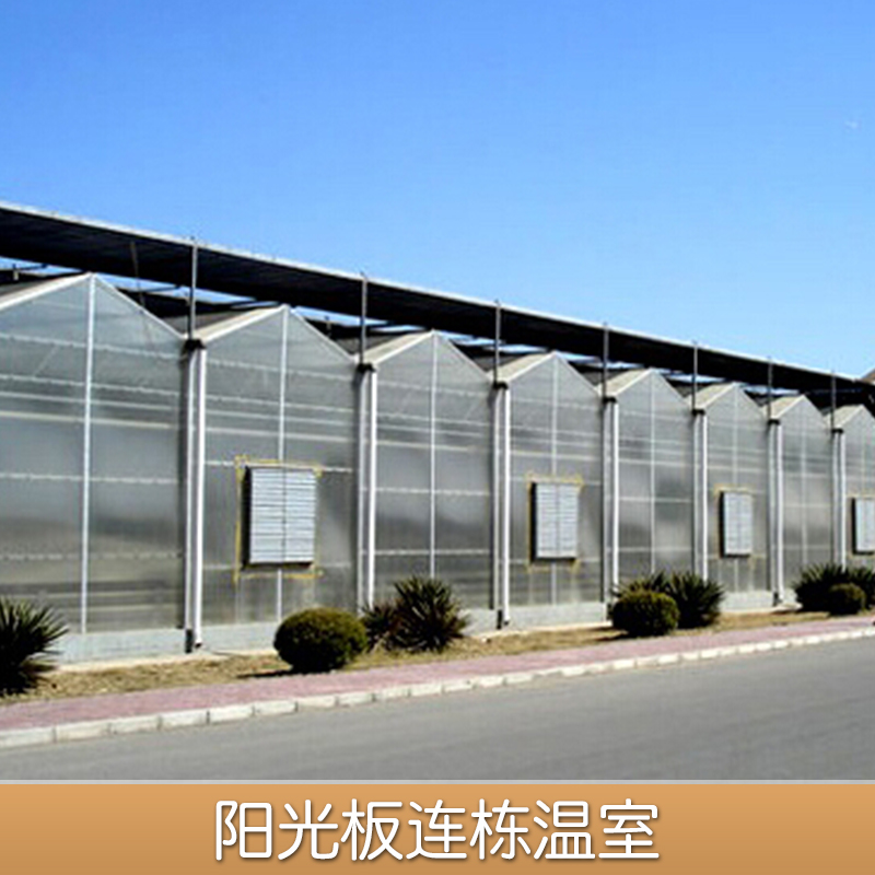 供應(yīng)陽光板溫室 新型陽光板溫室價(jià)格 建蔬菜陽光板溫室大棚的價(jià)格