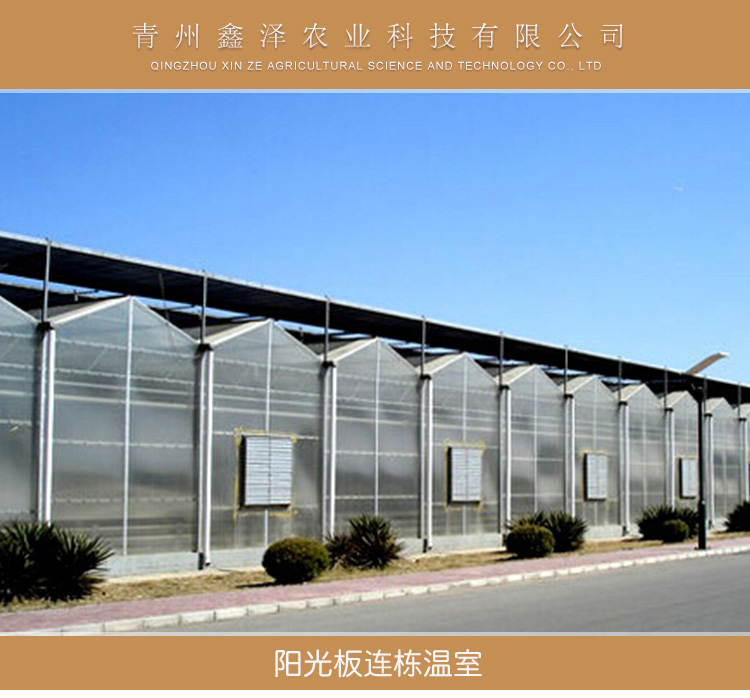 陽光板溫室/溫室大棚 農(nóng)業(yè)陽光板溫室花卉蔬菜溫室大棚廠家直銷價(jià)格