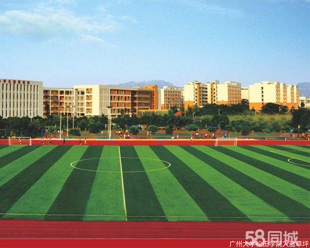 綠昂體育塑膠跑道球場材料廠家 綠昂  體育塑膠跑道球場材料廠家