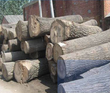 河南榆木烘干板材廠家 河南榆木烘干板材哪家好 河南榆木烘干板材 河南榆木烘干板材供應(yīng)