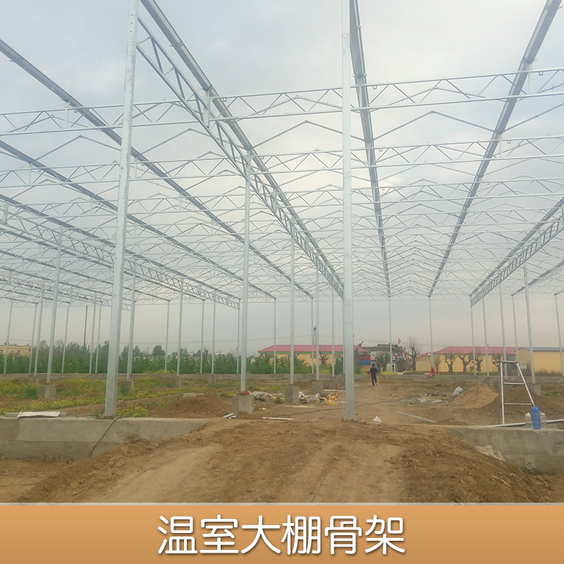 溫室大棚 玻璃溫室大棚 陽光板溫室大棚 建連棟薄膜溫室大棚的價(jià)格 河南溫室大棚