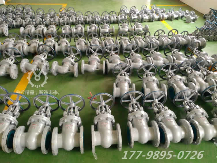 蘭控手動(dòng)閘閥