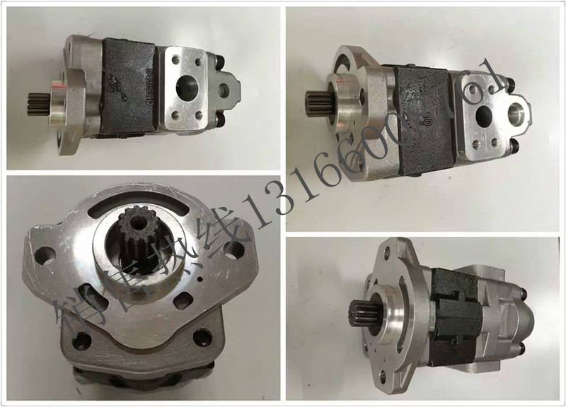 上海齒輪泵供應(yīng)商尾泵 先導(dǎo)泵批發(fā)供應(yīng)竹內(nèi)175的齒輪泵先導(dǎo)泵 供應(yīng)竹內(nèi)175齒輪泵先導(dǎo)泵