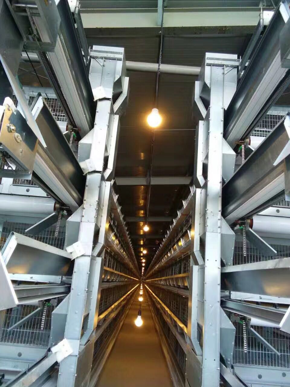 河南金鳳四層層疊式蛋雞自動化養(yǎng)殖設(shè)備