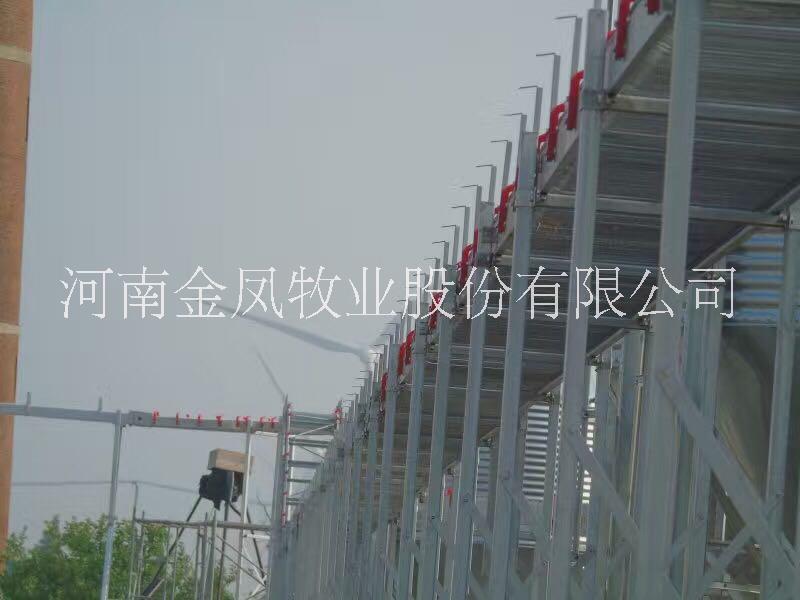 供應(yīng)河南金鳳牧業(yè)自動(dòng)化集蛋機(jī) 蛋雞*自動(dòng)化撿蛋機(jī)