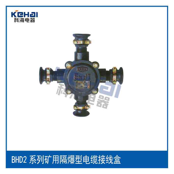 供應(yīng)礦用本安接線盒 JHH50-8礦用本安接線盒 JHH50-8礦用本安通訊接線盒