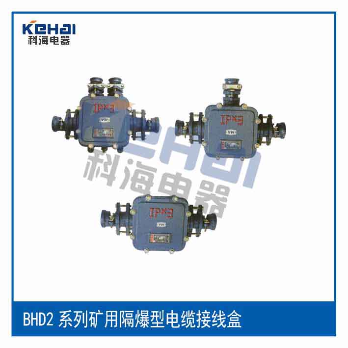 供應(yīng)礦用本安接線盒 JHH50-8礦用本安接線盒 JHH50-8礦用本安通訊接線盒