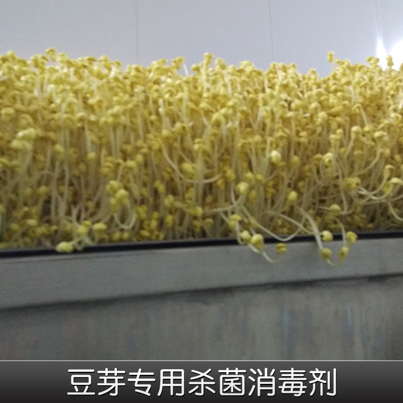 大量供應優(yōu)質(zhì)豆芽用*消毒劑防腐保鮮用消毒劑廠家直銷