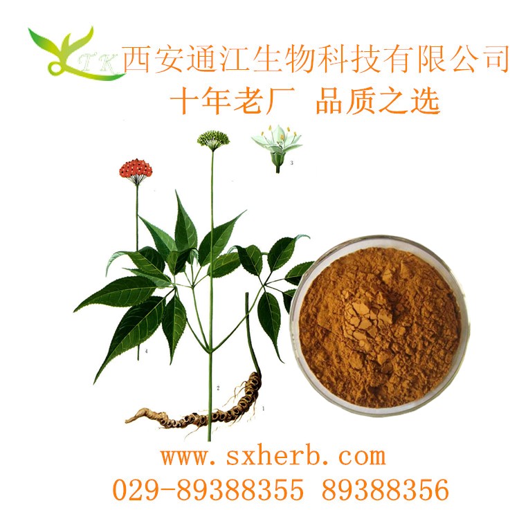 竹節(jié)參提取物 資證齊全 現(xiàn)貨價(jià)廉 陜西廠家 通江生物