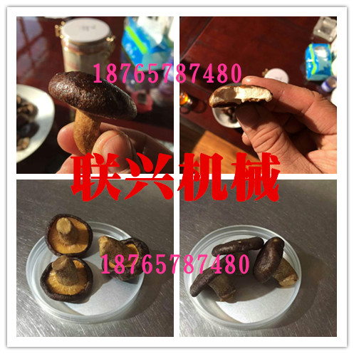 諸城聯(lián)興 ZK-700C洋蔥圈全自動低溫真空油炸機(jī) 保香保色降低油脂