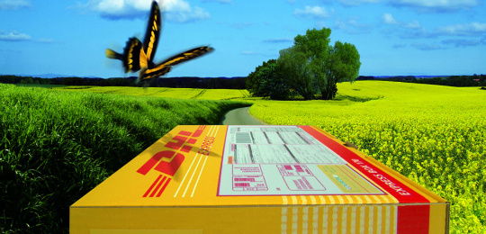 汕頭聯(lián)邦快遞 汕頭fedex快遞