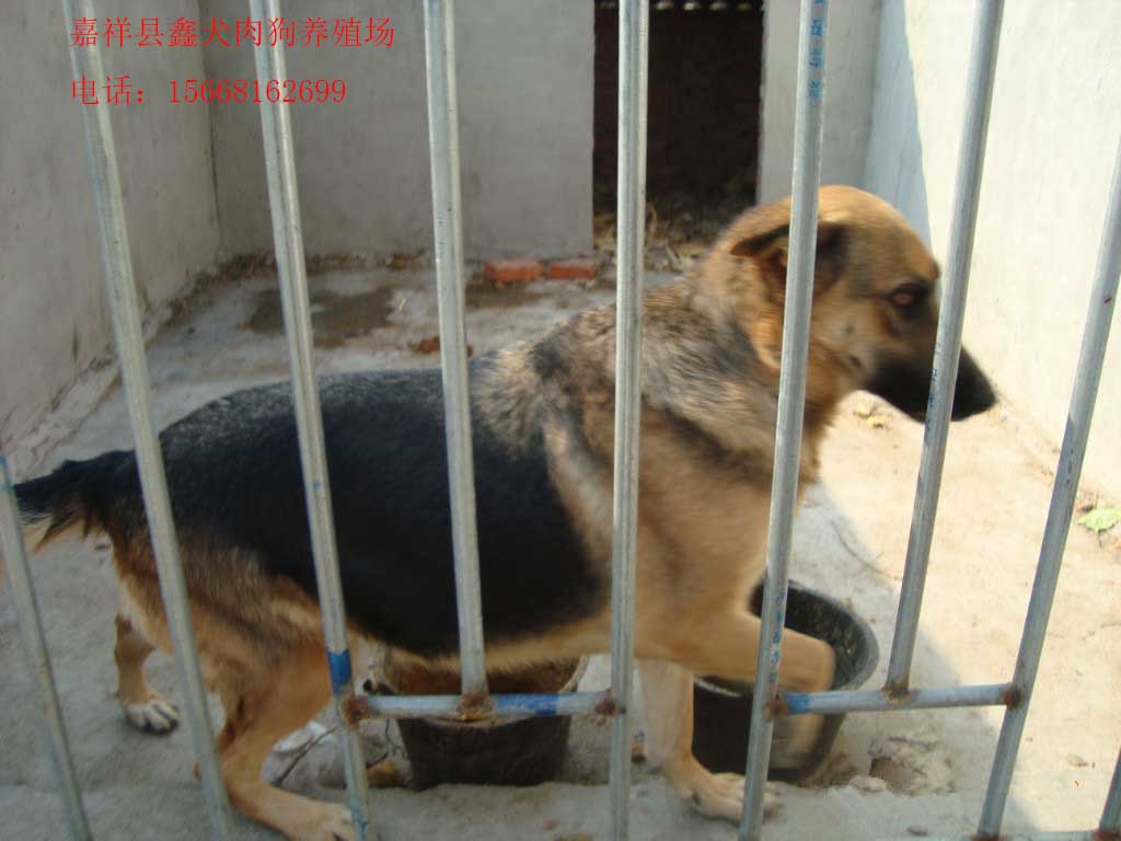 *價(jià)格，*圖片