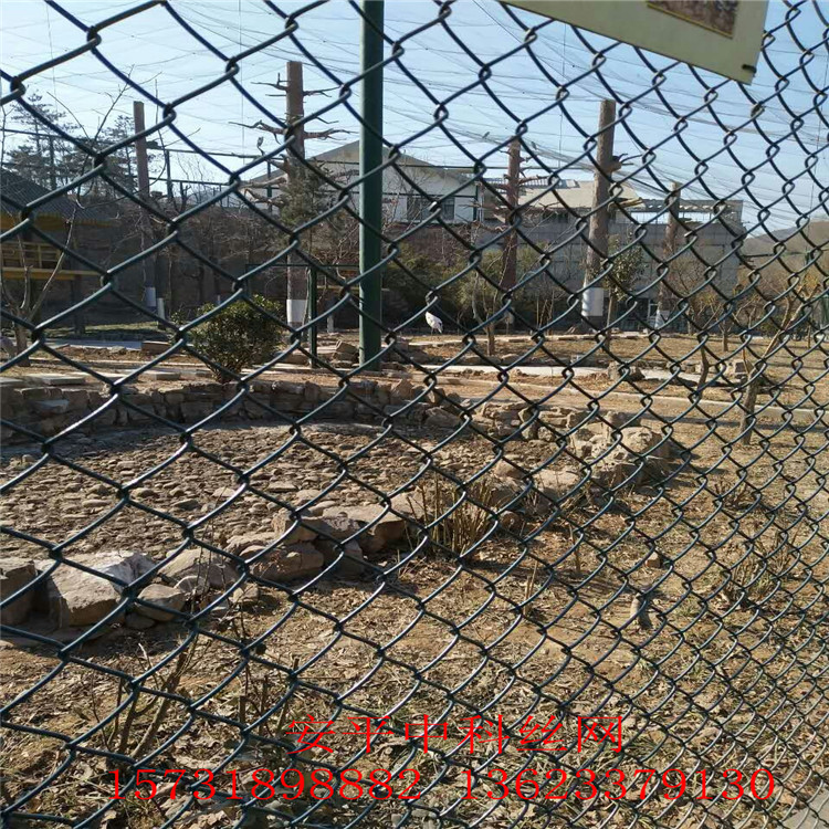 養(yǎng)殖圍網(wǎng)  鍍鋅勾花網(wǎng) 養(yǎng)殖圍網(wǎng)  鍍鋅勾花網(wǎng)