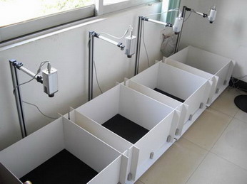 曠場視頻分析系統(tǒng) 大鼠曠場箱 大鼠曠場實(shí)驗(yàn)箱