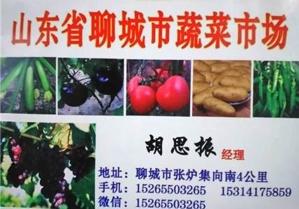 聊城尖椒批發(fā)價格供應 山東聊城尖椒供應 尖椒經銷商代銷