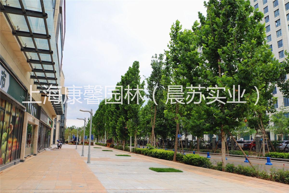 重慶景觀園林綠化工程施工電話 重慶景觀綠化工程施工公司