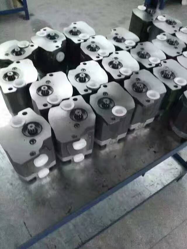 供應上海齒輪泵廠家，，齒輪泵廠家批發(fā) 先導泵齒輪泵廠家批發(fā)大欲55