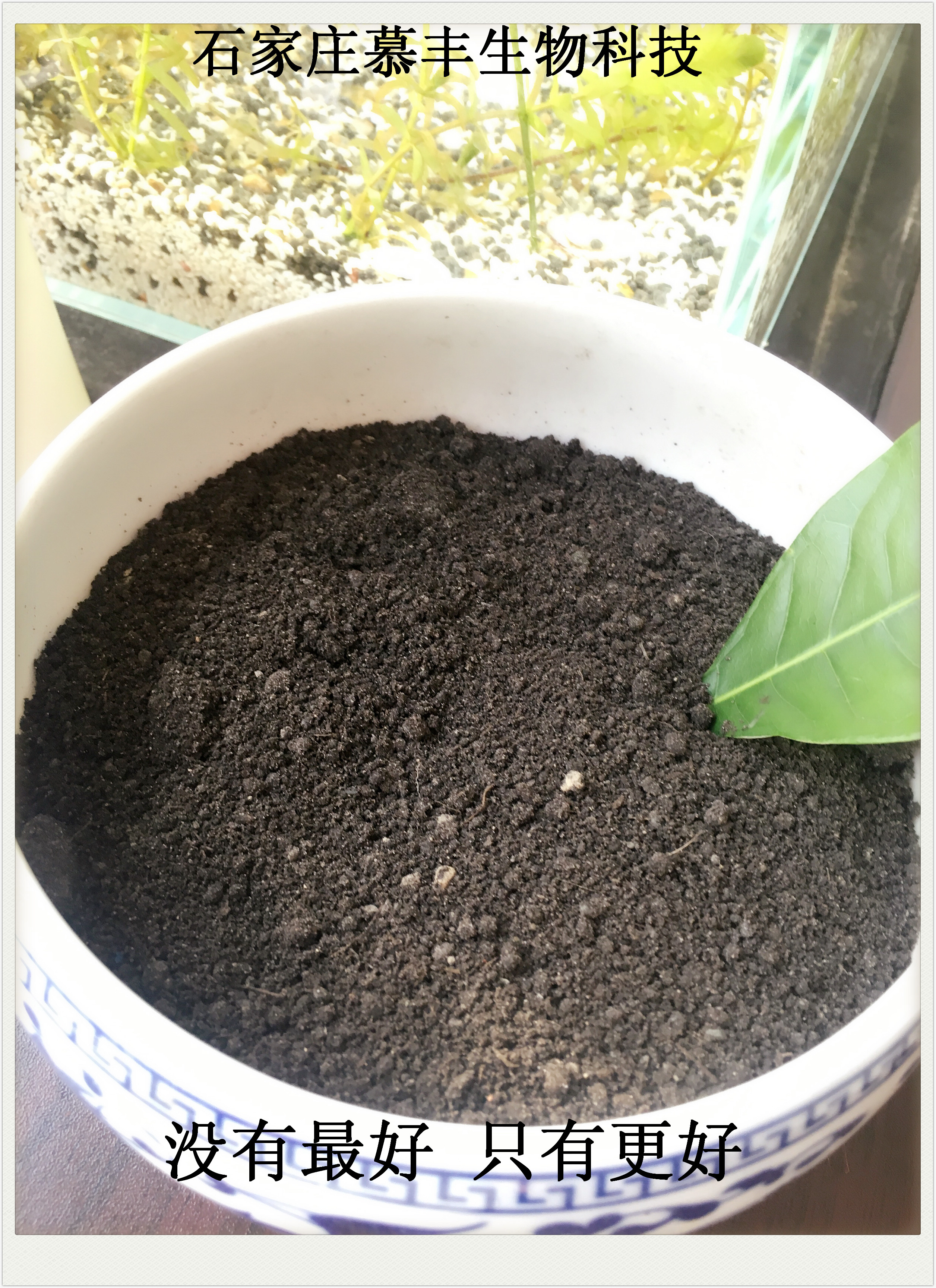 發(fā)酵有機(jī)肥 顆粒有機(jī)肥 干雞糞 豬糞 牛糞 羊糞 品質(zhì)好 * 歡迎來(lái)電