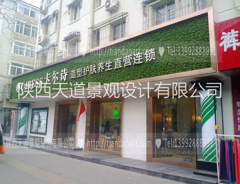 陜西西安仿真綠植墻  仿真植物墻