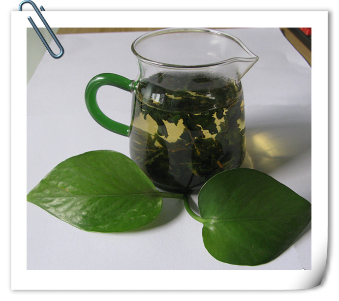 哪里的桑葉茶好喝莒丹王桑葉茶東莞桑茶好喝的桑葉茶