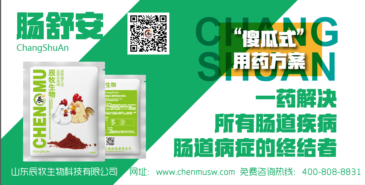 雞增肥效果好的藥—辰肽寶