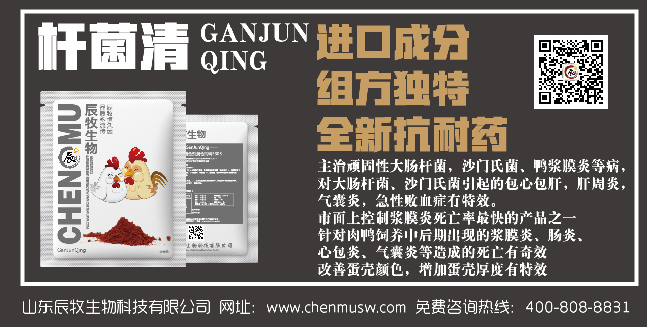 雞增肥效果好的藥—辰肽寶