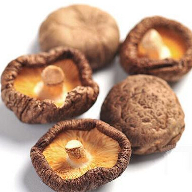 漢中好運(yùn)農(nóng)香菇批發(fā)