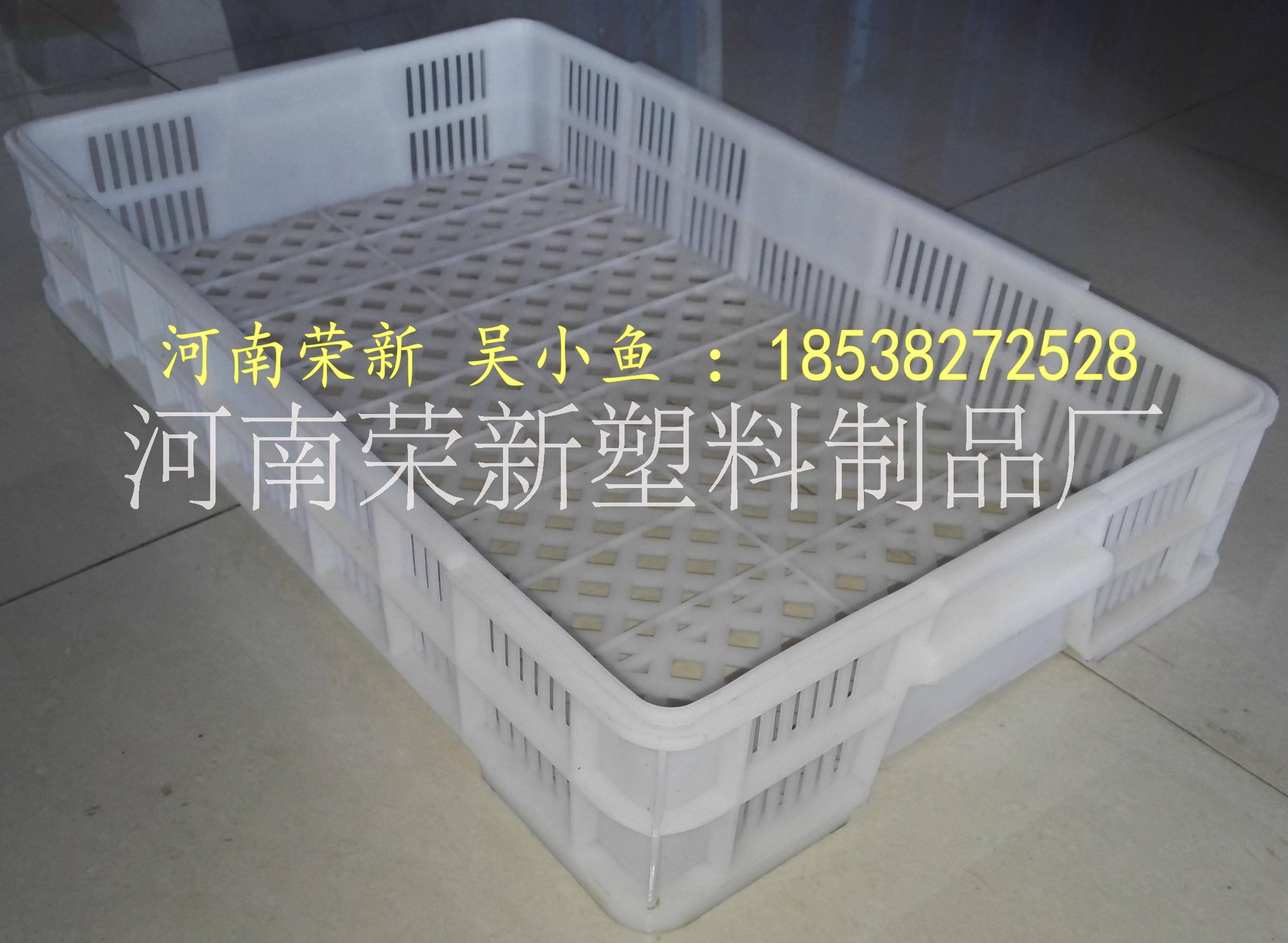 亳州塑料蔬菜筐/亳州塑料周轉(zhuǎn)筐