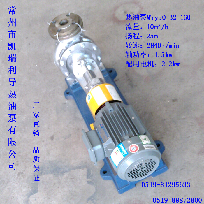 供應(yīng) wry高溫導(dǎo)熱油泵 微型導(dǎo)熱油泵
