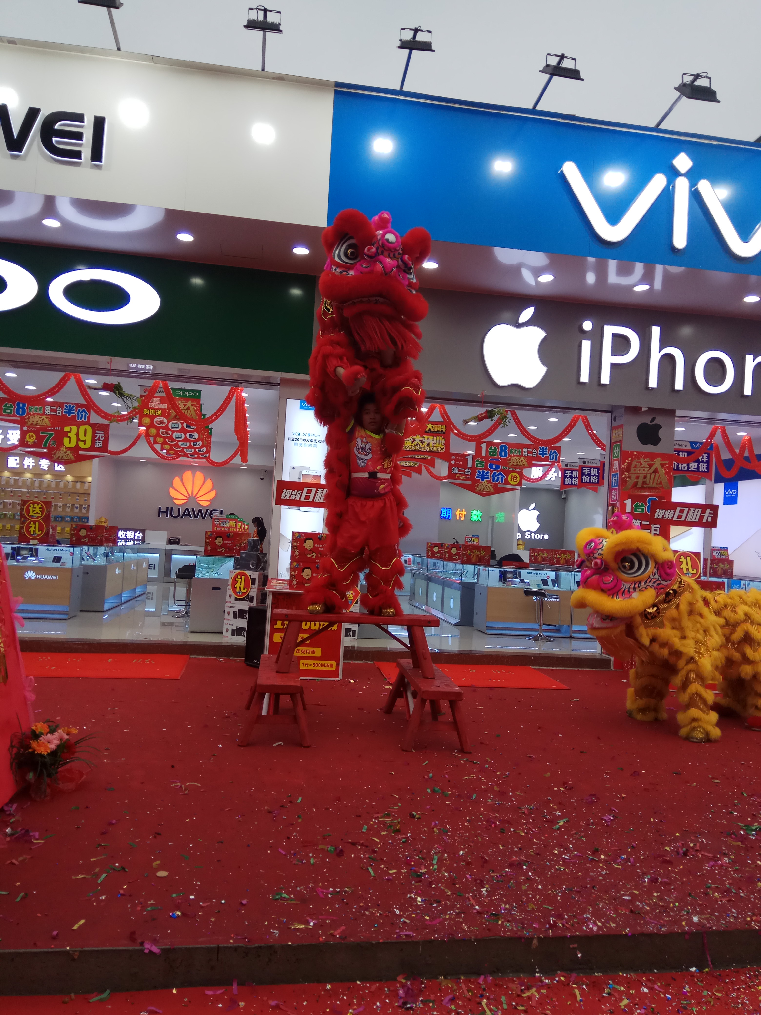 深圳開(kāi)業(yè)舞獅隊(duì) 深圳舞獅點(diǎn)睛 深圳舞獅隊(duì)價(jià)格