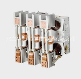 3AH真空斷路器