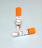 115度蒸汽*生物指示劑